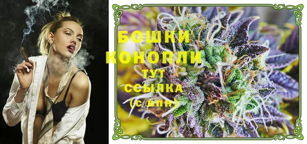 ешки Гусев