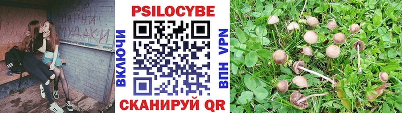 Галлюциногенные грибы мицелий  Прокопьевск 
