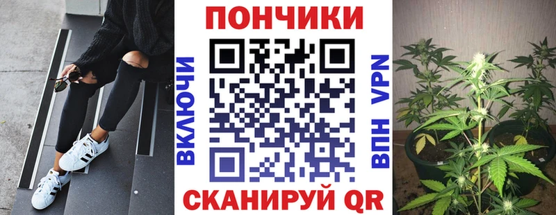 наркотики  Прокопьевск  Канабис марихуана 